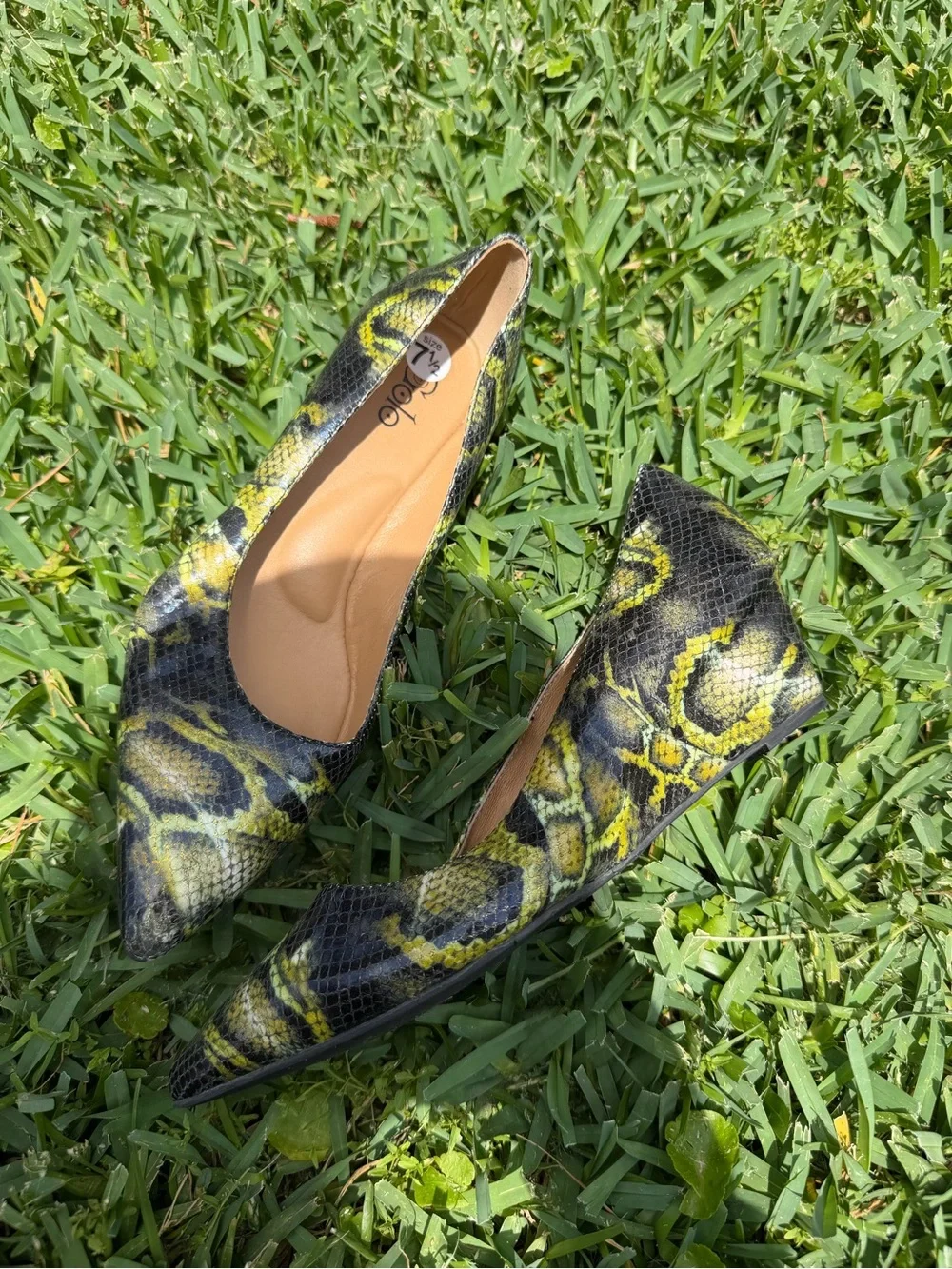 Golo step out